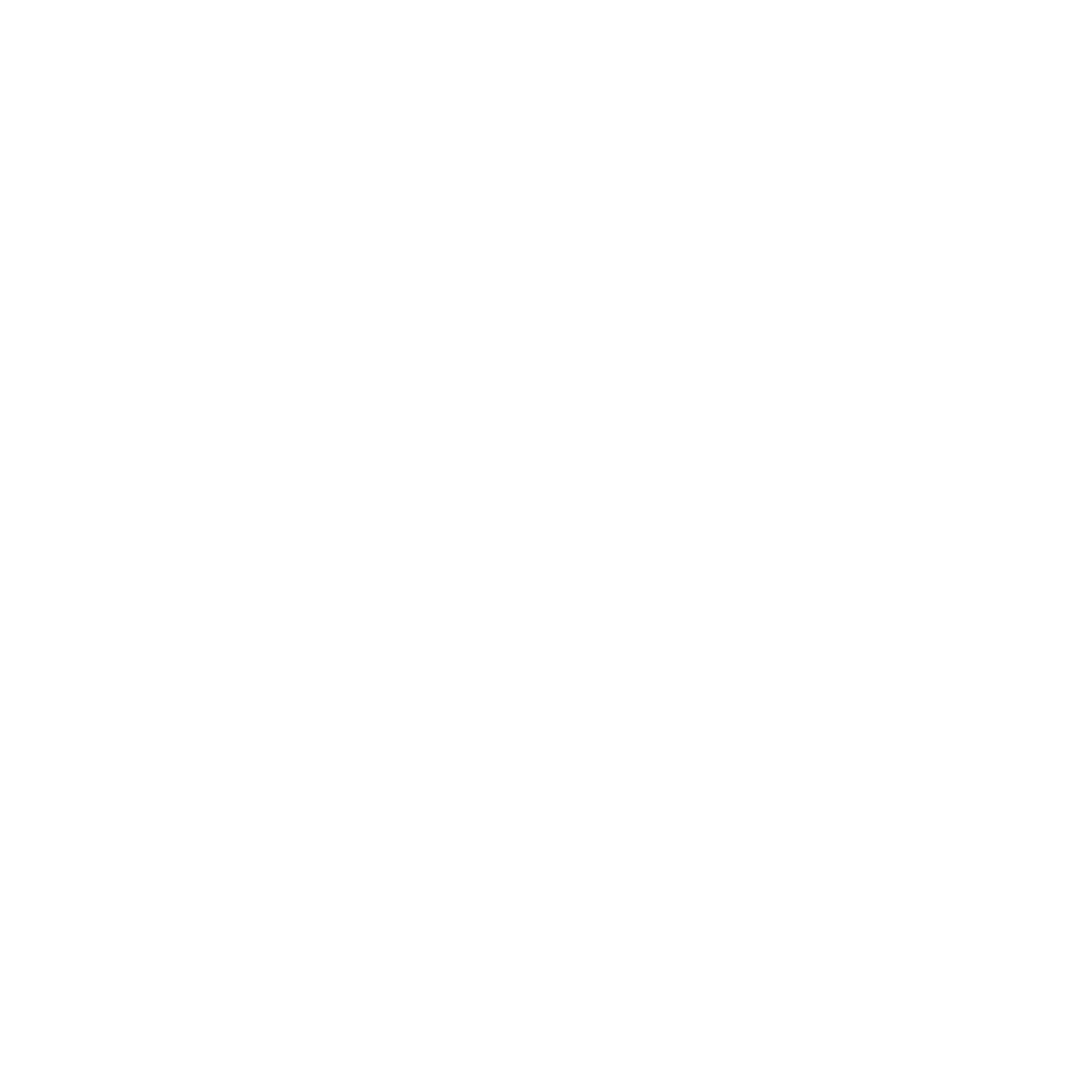 Spirits13